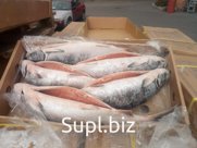 Оптовая продажа всей Дальневосточной рыбы, Морской рыбы и морепродуктов, речной рыбы Куйбышевского водохранилища, Удмуртии, Татарстана и Мордовии, а так же хра…