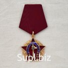 УГОЛОВНЫЙ РОЗЫСК МВД РФ (на колодке)