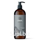 Шампунь для окрашенных волос с маслом монои OLEA COLOR CARE
