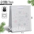 Пакет подарочный новогодний крафтовый «Happy new year!», 12 х 15 х 5.5 см