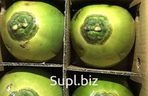 Зелёный Кокос из Вьетнама