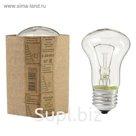Лампа накаливания ТЭЛЗ, Б, 95 Вт, E27, 230 В