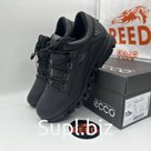 ECCO model 2