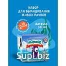 Набор химических опытов и экспериментов «Морские дракончики»