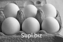 Яйцо куриное 1 категории