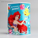 Копилка прямоугольная "На исполнение мечты!", Принцессы