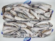 Минтай б/г М 25+ 1/26 УТРФ-Камчатка