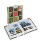 Большой иллюстрированный словарь «Кедр»