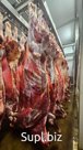 Говядина и быки откорм
