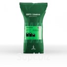 Травосмесь Городская Евро-Семена