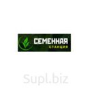 Семена Клевер луговой
