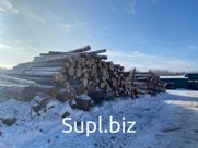 Балансы еловые