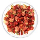Гофмена (розовые шишечки похожи на клевер)
