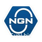 Моторные масла NGN, Трансмиссионные масла NGN и жидкости ГУР серии A-LINE бренда NGN