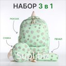Набор: рюкзак школьный на молнии, сумка, косметичка, цвет зелёный
