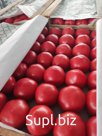 Помидоры
