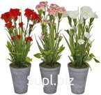 Artificial flower in a pot, Carnation, 12x33 cm