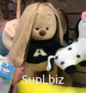 Плюшевый пес с длинными ушами в черной футболке с буквой А Артикул M022