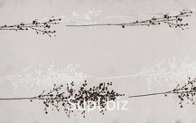 ВУАЛЬ С РИСУНКОМ