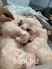 Окорочка Халяль