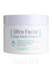 FDH Cream Крем для лица FOODAHOLIC Ultra Facial Aloe Herb Cream (100ml)