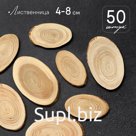 Спил дерева «Лиственницы», овальный, d=4-8 см, h= 3.5 мм