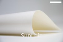 ТЕНТОВАЯ ТКАНЬ ПВХ Tehnotex 650 гр./м2 односторонний лак