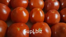 Овощи и зелень
