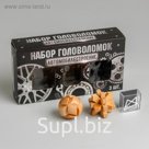 Набор деревянных головоломок «Автомобилестроение» 3 шт