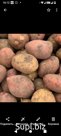 Картофель,