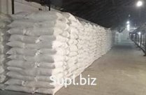 Flour wheat first variety